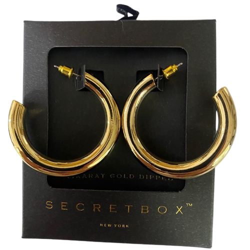 SCENE STEAL HOLLOW HOOP EARRINGS(LARGE)