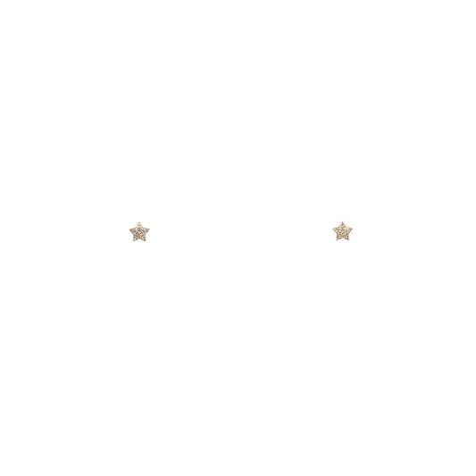 STUDDED STAR EARING